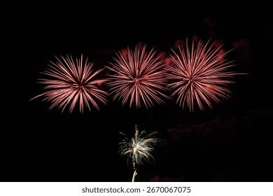 Red fireworks exploding in the night sky. Festive pyrotechnic display symbolizing celebration, joy, and holiday events. Perfect for parties, festivals, and New Year designs.
