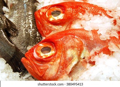  Red Fish In Seafood Market, Perth, Australia