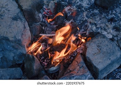 Red Flames Of Teepee Campfire On Dark Ground At Campsite In Wild At Overcast, Closeup Bonfire With Firewood.