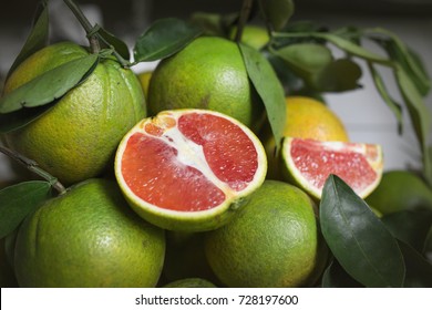 Red Fleshed Cara Cara Navel Orange - Fruits Close Up 