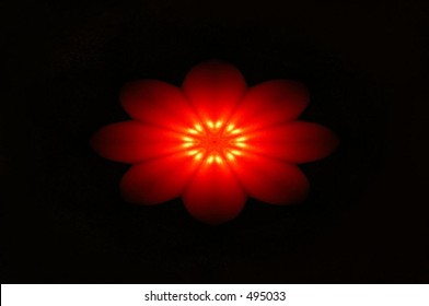 red flower in the dark