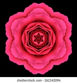 Red Flower Mandala. Kaleidoscopic design Isolated on Black Background. Mirrored pattern