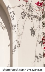 Red Flower Plant Branches And Sunlight Shadow On Neutral Beige Wall. Aesthetic Floral Shadow Silhouette Background
