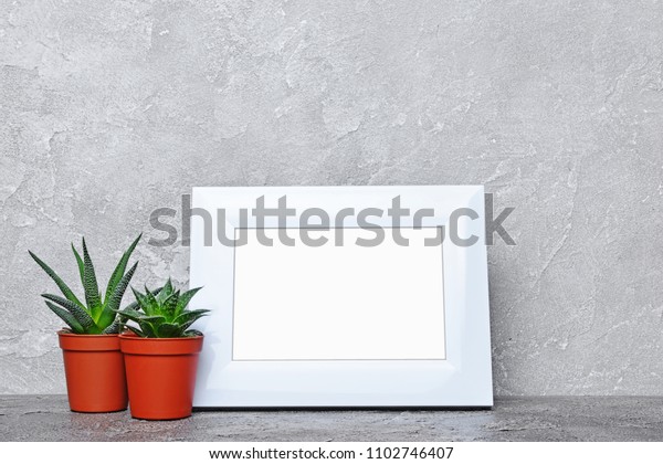 Download Red Flower Pot Small Cacti Mockup Stock Photo Edit Now 1102746407 PSD Mockup Templates