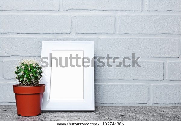 Download Red Flower Pot Small Cactus Mockup Interiors Stock Image 1102746386 PSD Mockup Templates