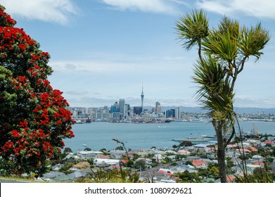 Red flowering pohutukawa, the New Zealand Christmas tree, and a cabbage tree with Devonport in the middle  ground and the city of Auckland in the background.