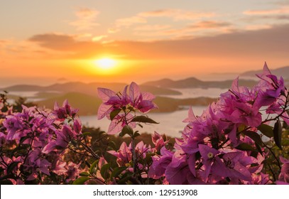 Red flowers frame the sunset over the islands in harbor of Charlotte Amalie St Thomas USVI