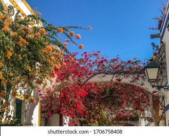 ヨーロッパ 花 の画像 写真素材 ベクター画像 Shutterstock