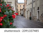 Red flowers in Krakow old town, narrow street, historic center in Krakow, Poland