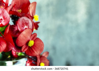 Red Flowers Over Barn Wood, Cool Tones