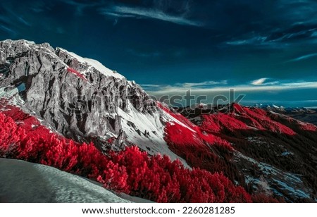 Red foliage of trees in snow capped mountains. Snowy mountains red forest. Mountain snow landscape. Beautiful mountain panorama