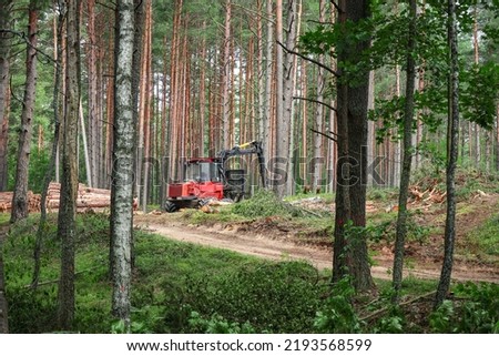 Red forest machine that clears trees in green summer forest standing near sandy road surrounded by growing tree trunks