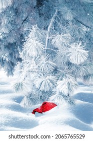 Red Forgotten Santa Hat In A Snowy Park. Christmas Card.