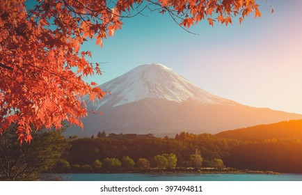 Red Frame Of Maple Leaf And Mt. Fuji Japan.