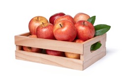 Red Fuji Apples In Wooden Box Isolated On White Background With Clipping Path.