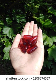 Red Gel Capsule On Palm