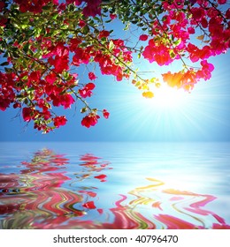 Red Geranium branch with sunshine reflected in the water