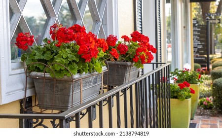 Red geraniums in a window box outside a store in a town - Shutterstock ID 2138794819
