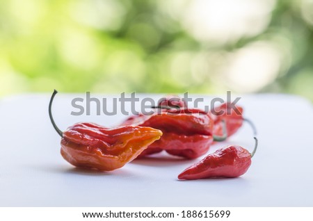 Red Ghost Chili Peppers  on a white chopping board with green blurry bokeh leaves as background