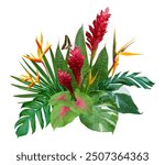 Red Ginger flowers and bird of paradise flowers with tropical leaves in floral arrangement isolated on white background