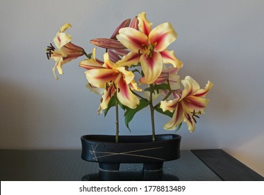 Red and Gold Casablanca Lily Bouquet