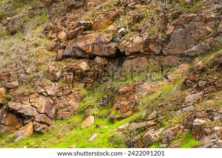 Red granite rocks. Granite background, plants in stone, abstract stone texture. Moss on a rock face. Relief and texture of stone with grass and moss. Stone natural background, cracks in granite rocks