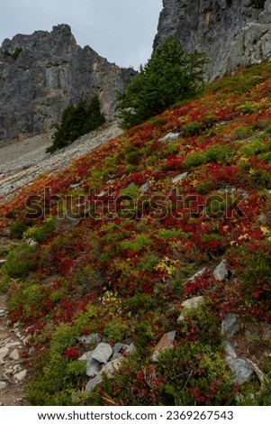 Red and Green Brush Grow on the Slope Below Pinnacle Peak in Washington Wilderness