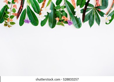 red and green leaf pattern on white background. flat lay header