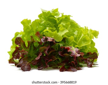 14,295 Red Crispy Lettuce Images, Stock Photos & Vectors | Shutterstock