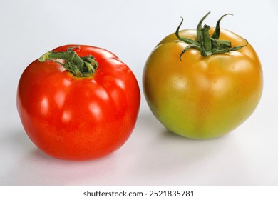 Tomates rojos y verdes