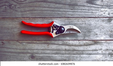 Red Grip Pruning Shears.