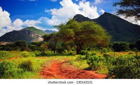 Red ground road and bush with savanna panorama landscape in Africa. Tsavo West, Kenya.