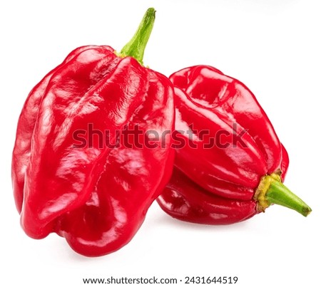 Red habanero peppers isolated on white background. 