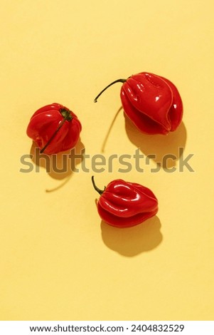 Red habanero peppers on a yellow background. Top view, close-up.