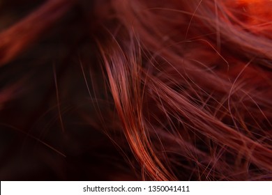 Short Blonde Hair With Red Highlights Images Stock Photos Vectors Shutterstock