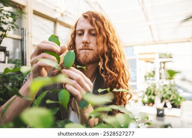 Red haired botanist examines plant leaves in a vibrant greenhouse, radiating passion and expertise in horticulture. Sunlight highlights his dedication to nature - Powered by Shutterstock