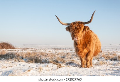 12,232 Scottish highlands winter Images, Stock Photos & Vectors ...