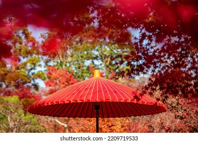 A Red Handcraft Japanese Bamboo Umbrella Among Colorful Maple Leaves In Autumn At Kyoto Temple,Japan