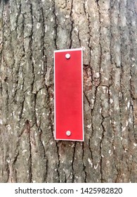 Red Hash Mark Affixed To A Tree Marking A Trail In A Forest.