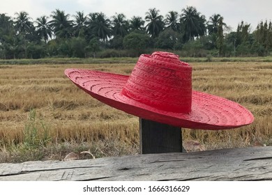 A red hat placed on a log  With fields, trees and the sky behind