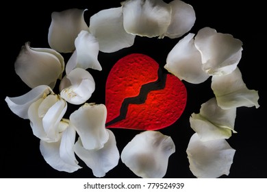 Red Heart Broken White Rose Petals Stock Photo 779524939 | Shutterstock