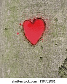 Red Heart Carved On The Tree