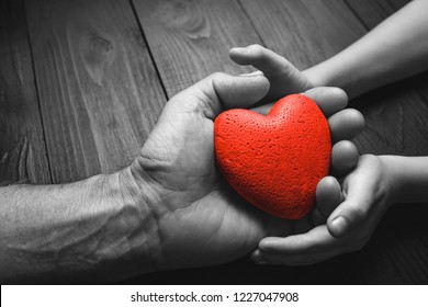 Red Heart In Hands On A Dark Background, The Concept Of Love And Care For Loved Ones And Needy.black And White.