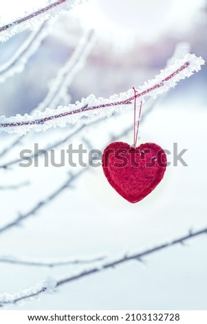 red heart hanging in winter on a snowy tree branch, love heart concept, valentine's day card
