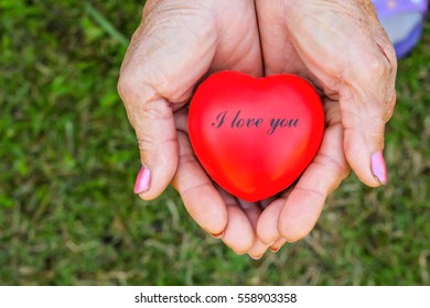 Red Heart On Old Woman Hand And Love