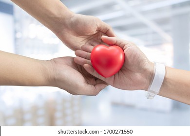 Red Heart On Patient Hand With Blank Wrist Tag And Doctor Hand Holding Patient Hand With Caring, White Hospital Background