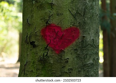 A Red Heart Painted On A Tree Trunk - Symbol Of Secret Lovers And Love