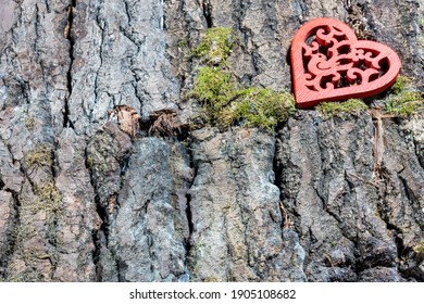 red heart with a pattern on the bark of a tree with moss, close-up