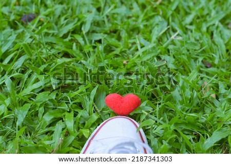 Red heart shape over white shoe, green grass background, space for text, concept of follow your heart.