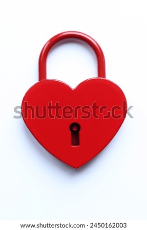Similar – Image, Stock Photo Love locks on a bridge in a wintry atmosphere with a frozen lake